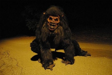 Quỷ hầu - sinh vật huyền bí gây náo loạn rừng núi